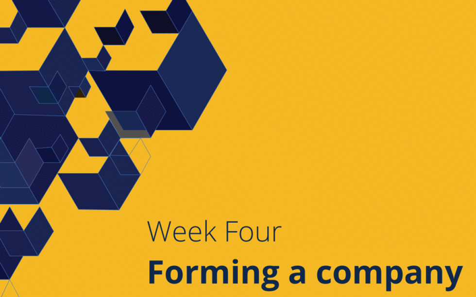 Week Four: Forming a company